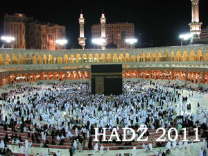 hadz-2011