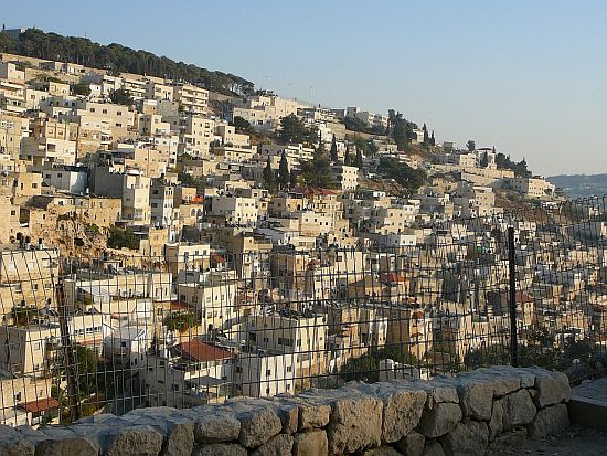 mirnes-slike-palestina-2010-2-dio-16