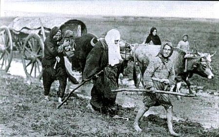 muhadziri-sehovici-1924